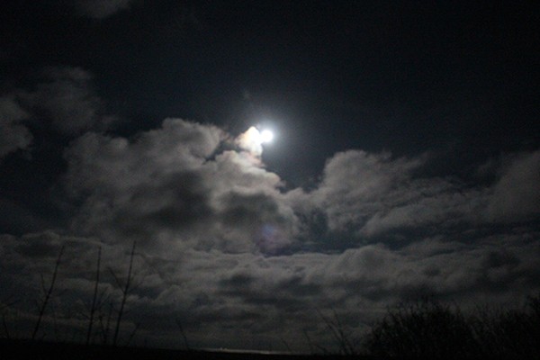 Fuldmåne over Anholt by - foto af Joyann Nielsen